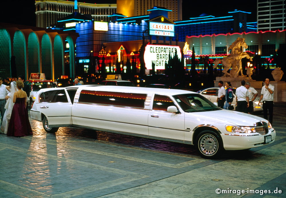 Streched Limousin
Las Vegas
