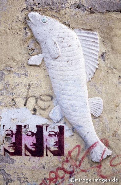 Fish and Graffiti
Schwerin
Schlüsselwörter: Stuck, Fisch, Fassade, 