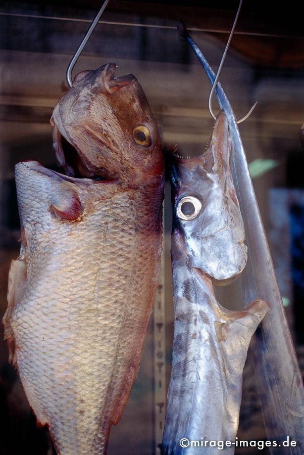 Happy fish 2
Lisboa
