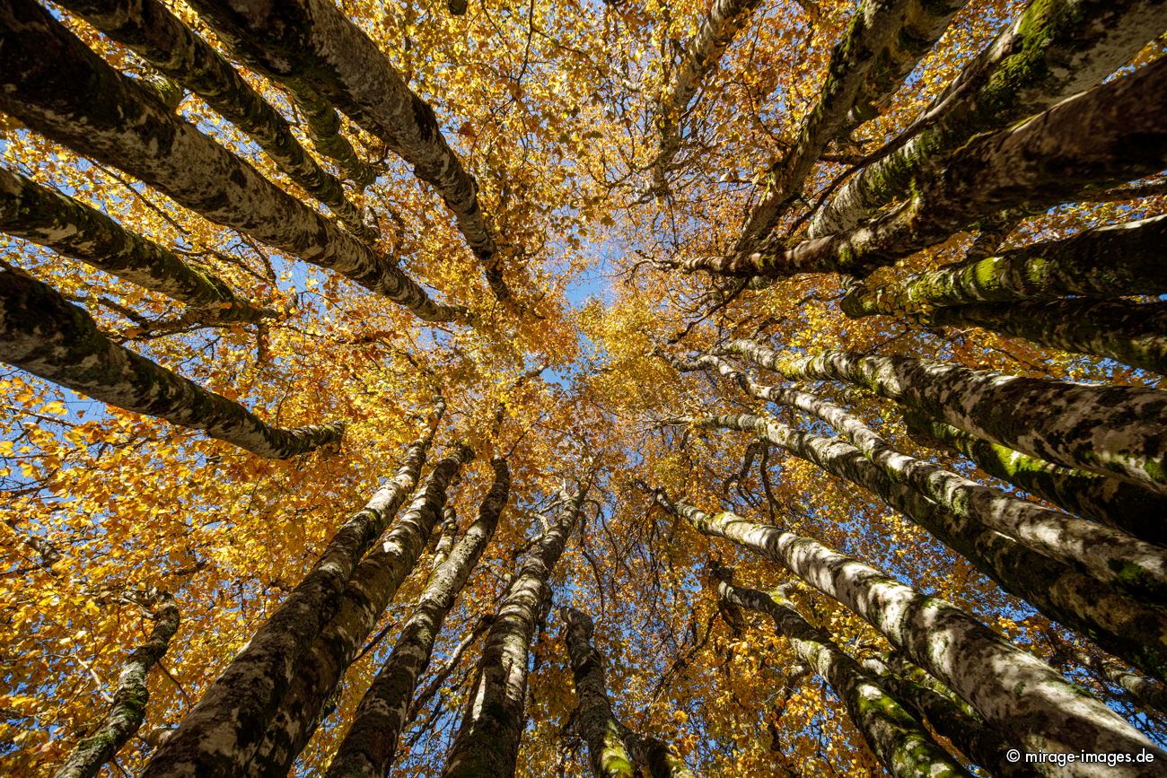 Creux du Van
Schlüsselwörter: autumn1