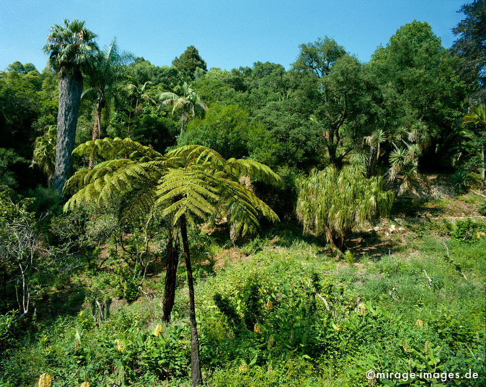 Parco de Monserrate
Sierra de Sintra
