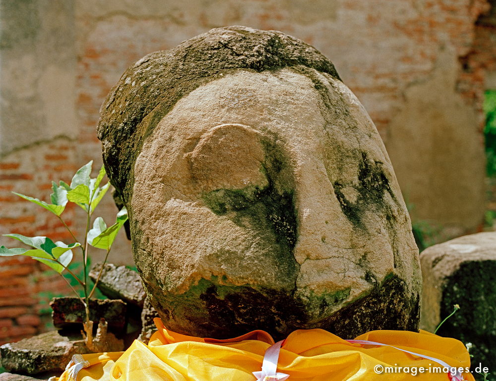 Buddhakopf
Phra Nakhon Si Ayutthaya
Schlüsselwörter: meditation1, Kraft, Verehrung, Kult, RÃ¤ucherstÃ¤bchen, Opfer, Meditation, Buddhismus, Religion, Schrein, SpiritualitÃ¤t, Anbetung, Ruhe, Natur, Frieden, heilig, Entspannung, entspannen, Glauben, glÃ¤ubig, religiÃ¶s, Kontemplation, Liebe, Menschlichkeit