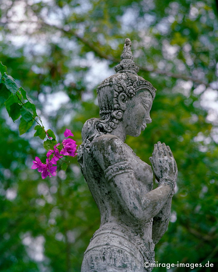 Praying
Ayutthaya
Schlüsselwörter: thailand1, Kraft, Verehrung, Kult, Opfer, Meditation, Buddhismus, Religion, Glauben, Schrein, SpiritualitÃ¤t, Anbetung, Ruhe, Natur, Skulptur, zeitlos, Esoterik, Blume, anmutig, Grazie, Frau, weiblich, Frieden, friedlich, heilig, Entspannung, entspannen,