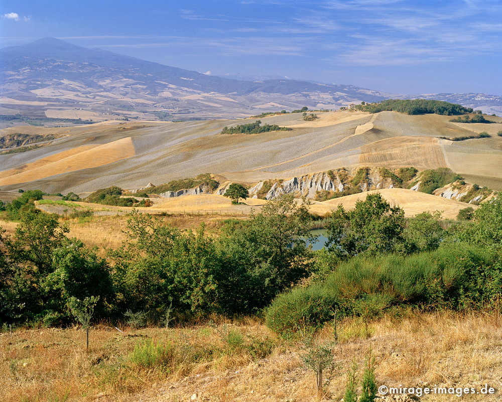 Gladiator
Montepulciano sienna
Schlüsselwörter: Landwirtschaft, Kulturland, Geschichte, Weite, WÃ¤rma, Harmonie, Enspannung, Felder, blau, gelb, StrÃ¤ucher, HÃ¼gel, Berge,