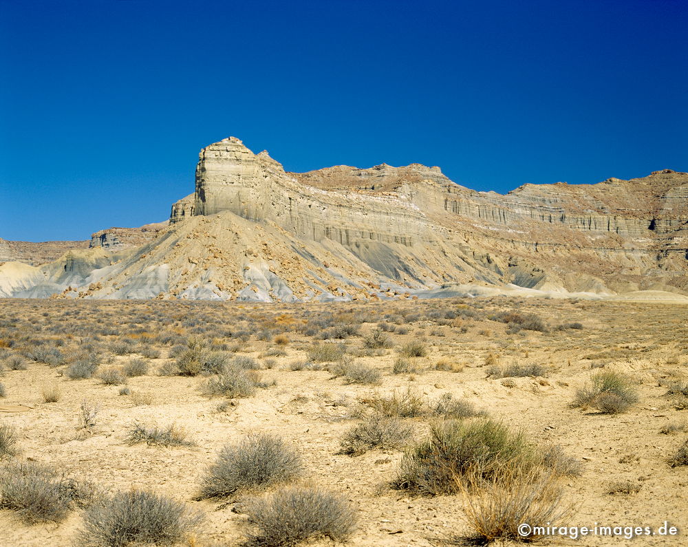 SteinwÃ¼ste
Arizona
