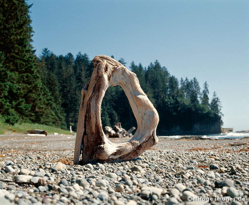 Landart
Westcoast Trail Vancouver Island
Schlüsselwörter: Skulptur, Kunst, Ufer, Stein, Reise, Tannen, Meer, Pazifik, Natur, Holz, kalt, rauh, Wildnis,