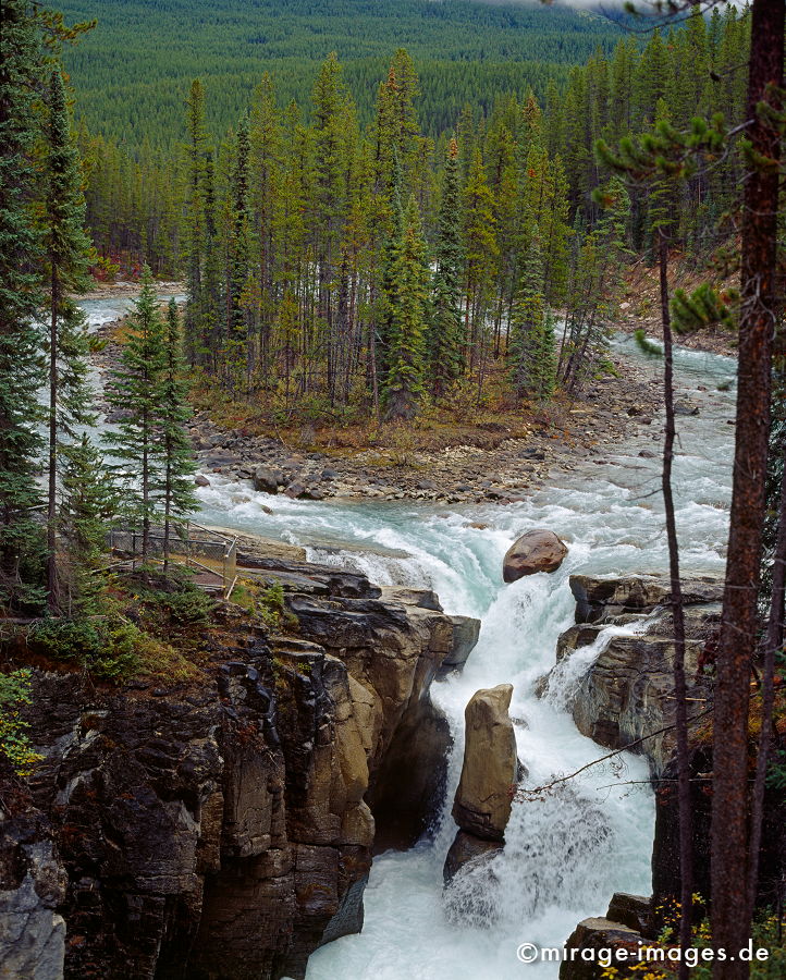 Sunwapta Falls
Rocky Mountains Jasper National Park
