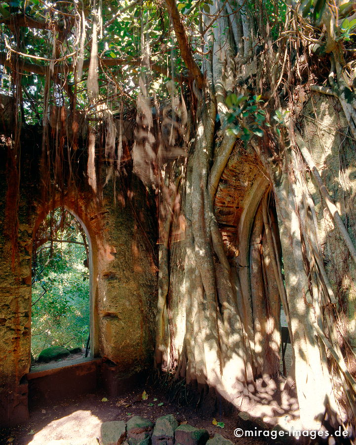 Klosterruine
Sierra de Sintra
