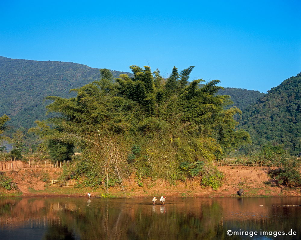 Am Nam Phak 
Muang La
Schlüsselwörter: Fluss, Spiegelung, blau, Bambus, Wasser, WasserbÃ¼ffel, Vegetation, Pflanze, Natur, Landschaft, Entspannung, entspannen, SÃ¼dost Asien, Reiseziel, Tourismus, Reise, Landschaft, Genuss, Kultur, aussen, drauÃŸen, Entwicklungsland, Fernreise, plants1