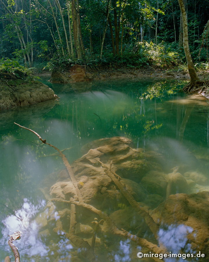 Jungle
Luang Prabang
Schlüsselwörter: Stille, Ruhe, Fluss, Wasser, Natur, Landschaft, Frieden, friedlich, Entspannung, romantisch, idyllisch, lautlos, Südost Asien, Reiseziel, Tourismus, Reise, Landschaft, Genuss, Kultur, aussen, draußen, Entwicklungsland, Fernreise,