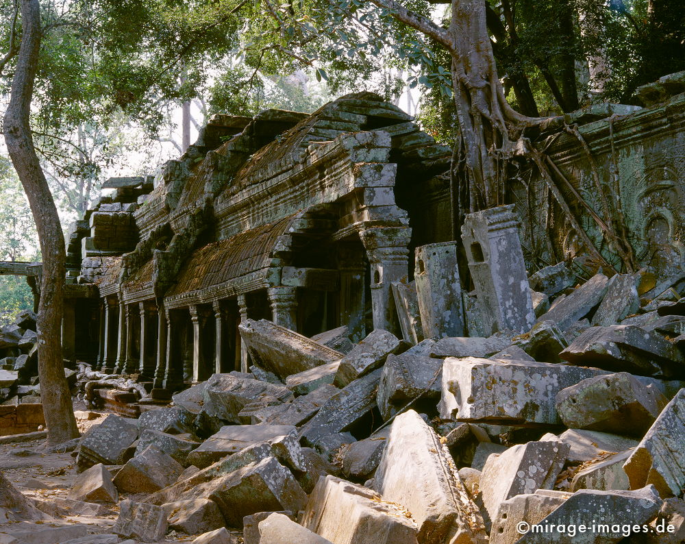 Temple
Angkor Wat
Schlüsselwörter: Baum, Dschungel, Ã¼berwuchert, Khmer, Ruine, Tempel, Buddhismus, Reise, Asien, Holz, Stone, Wildnis, chaotisch, kraftvoll, Natur, Architektur, surreal, Tourismus, Reise, Frieden, friedlich, heilig, Fernreise, Vegetation,