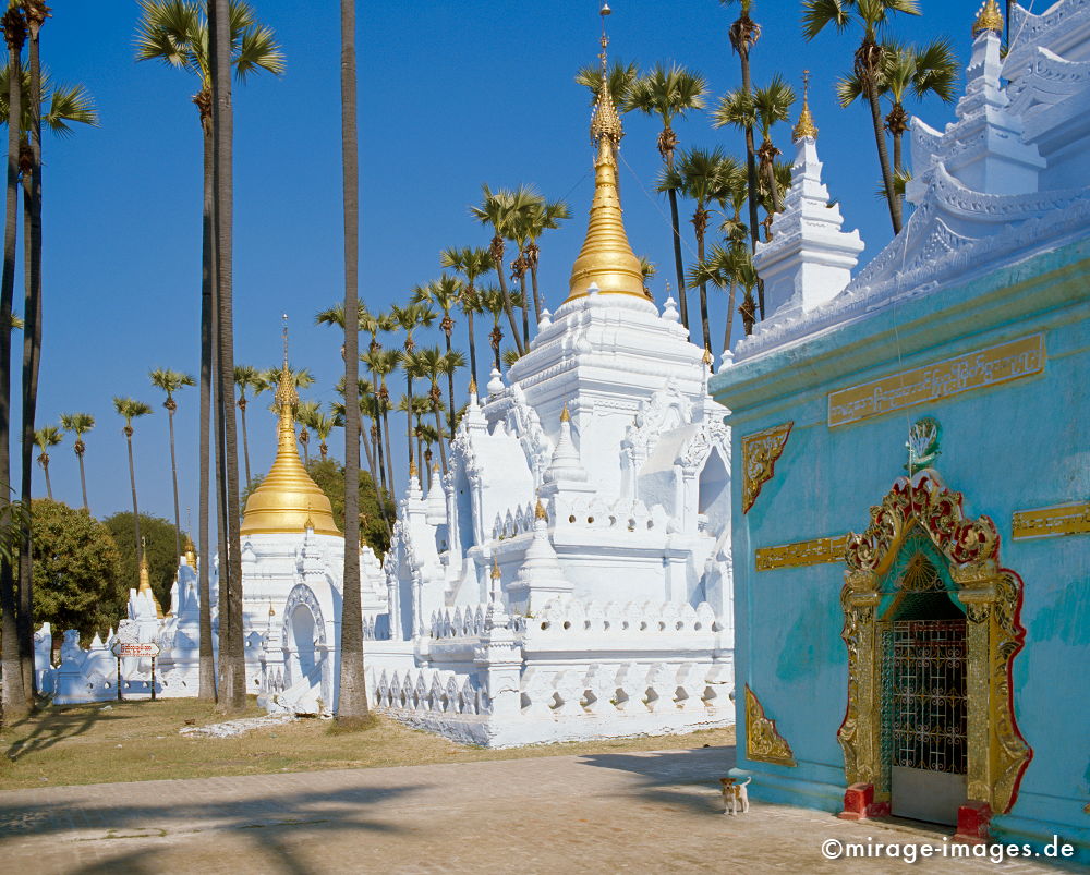 White Stupas
Mandalay
Schlüsselwörter: Heiligtum, Tempel, Kraft, Meditation, Buddhismus, Religion, SpiritualitÃ¤t, weiss, GebÃ¤ude, tÃ¼rkis, Hund, gold, Ruhe, Kultur, zeitlos, Architektur, SchÃ¶nheit, Frieden, friedlich, heilig, Entspannung, entspannen, Kontemplation, Buddha, Geduld,