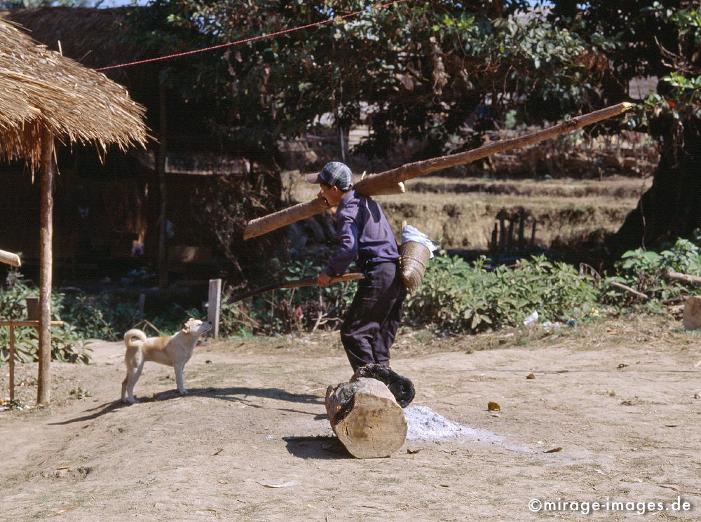 Communication
Hsipaw
Schlüsselwörter: Hund, Junge, Spiel, Holz, Landleben, lachen, Beziehung, SÃ¼dost Asien,