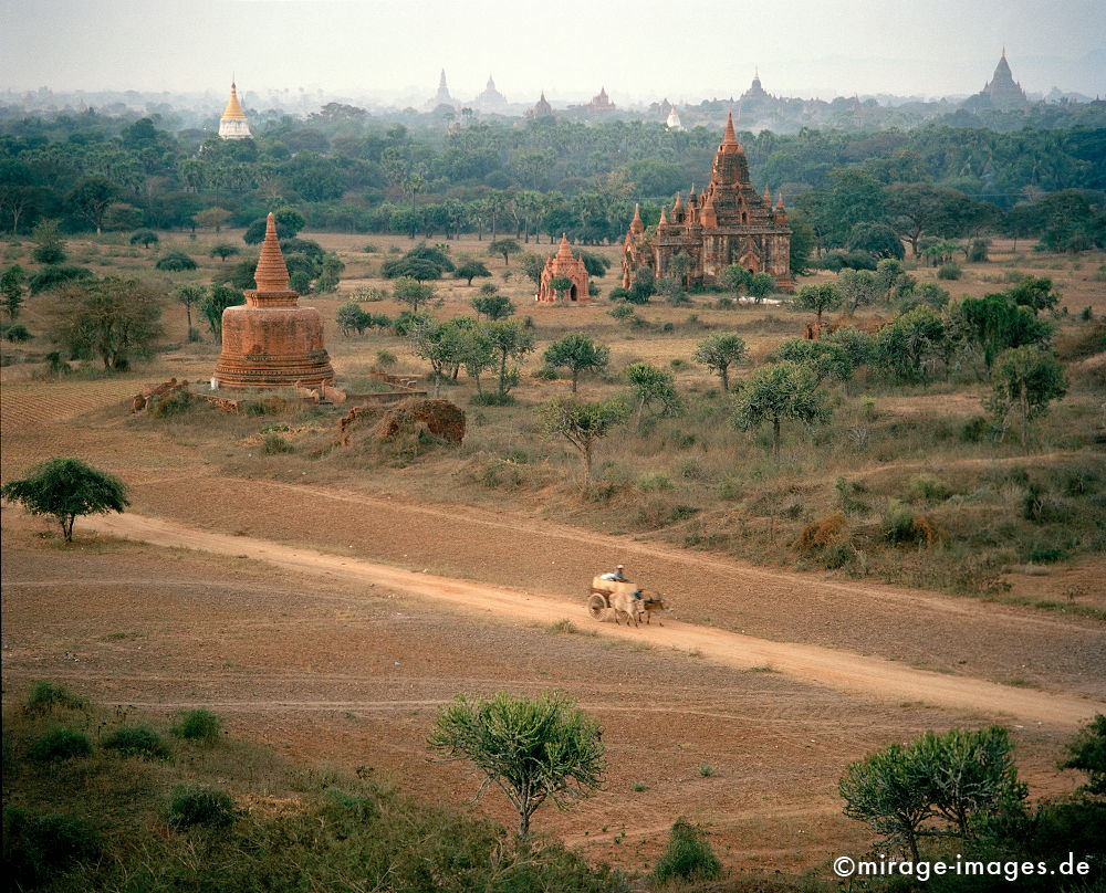 Bagan (Pagan)
Mandalay
Schlüsselwörter: Stein, Heiligtum, Tempel, Kraft, Meditation, Buddhismus, Religion, Asien, Spiritualität, Anbetung, Ruhe, Kultur, Khmer, Geschichte, Errinnerung, zeitlos, Tourismus, Reise, Architektur, Schönheit, Ruhe, Frieden, friedlich, heilig, Fernreise, Entspannung,