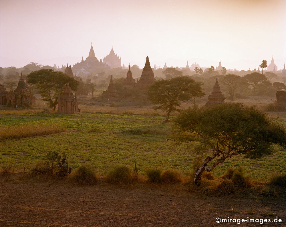 Bagan (Pagan)
Mandalay
Schlüsselwörter: Stein, Heiligtum, Tempel, Kraft, Meditation, Buddhismus, Religion, Asien, SpiritualitÃ¤t, Anbetung, Ruhe, Kultur, zeitlos, Tourismus, Reise, Architektur, SchÃ¶nheit, Ruhe, Frieden, friedlich, heilig, Weite, Sonnenuntergang, Fernreise,