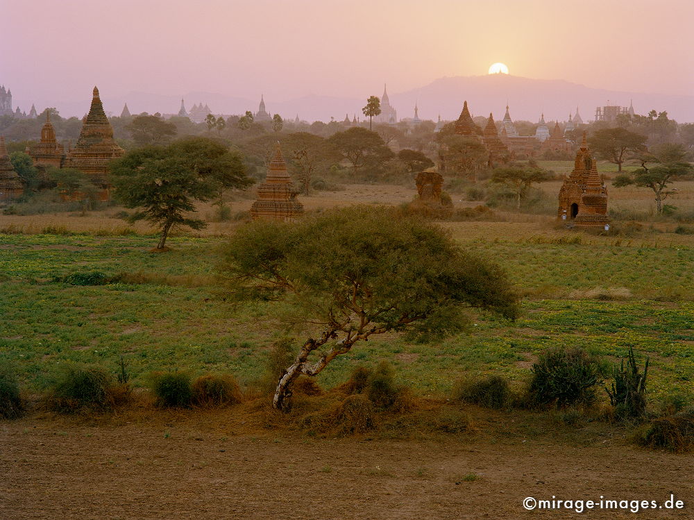 Bagan (Pagan)
Mandalay
Schlüsselwörter: Stein, Heiligtum, Tempel, Kraft, Meditation, Buddhismus, Religion, Asien, Spiritualität, Anbetung, Ruhe, Kultur, zeitlos, Tourismus, Reise, Architektur, Schönheit, Ruhe, Frieden, friedlich, heilig, Weite, Sonnenuntergang, Fernreise, Entspannung,