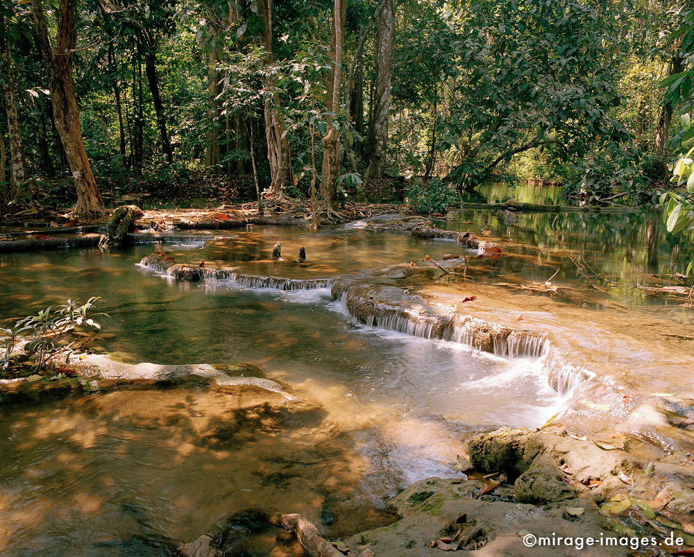 Tat Kuang Xi
Luang Prabang
Schlüsselwörter: Dschungel, Tropen, Wasser, Fluss, Ruhe, Wasser, Natur, Landschaft, SÃ¼dost Asien, Reise, Pflanzen, klar, rein, grÃ¼n, Urwald, Einsamkeit, archaisch, Ã–kologie, Indochina, fliessen, Stille,