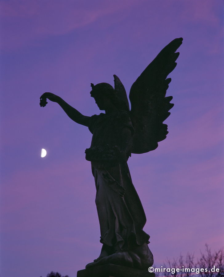 Angel 4
MÃ¼nchen Ostfriedhof
Schlüsselwörter: Mourning1, Kultur, FlÃ¼gel, gÃ¶ttlich, Friedhof, Kunst, Statur, Himmel, violett, bronze, Architektur, himmlisch, Tod,