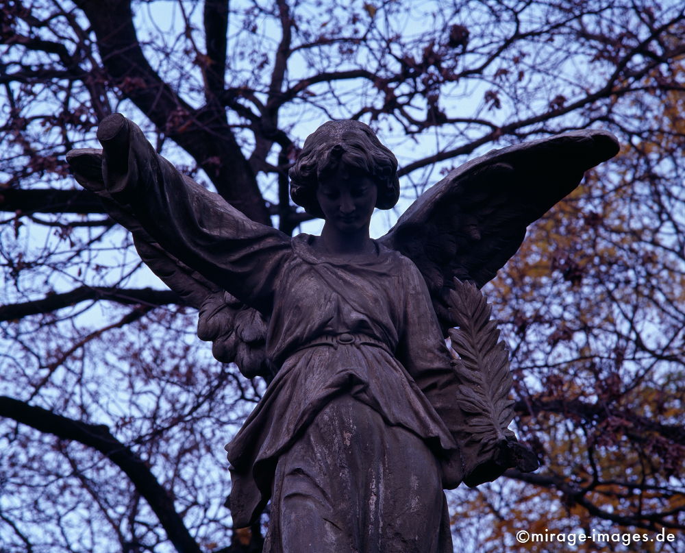 Angel 6
MÃ¼nchen Ostfriedhof
Schlüsselwörter: Mourning1, Kultur, Flügel, göttlich, Friedhof, Kunst, Statur, Himmel, violett, bronze, Architektur, himmlisch, Tod,