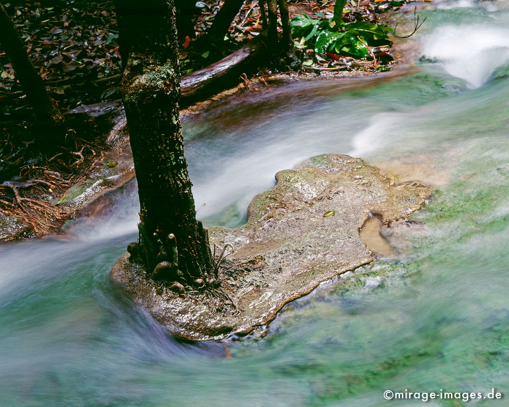 Emerald Pool
Khao Nor Chu Chi National Park
Schlüsselwörter: Fluss, Wasser, fliessen, Ruhe, Stille, Meditation, Kunst, Entspannung, entspannen, relax, rauschen, Meditation, Wildnis, unberÃ¼hrt, frisch, klar, Bewegung, bewegen, natÃ¼rlich, Harmonie, rauschen, Reinheit, Sauberkeit, Leben, einladend, Reise, Landschaft