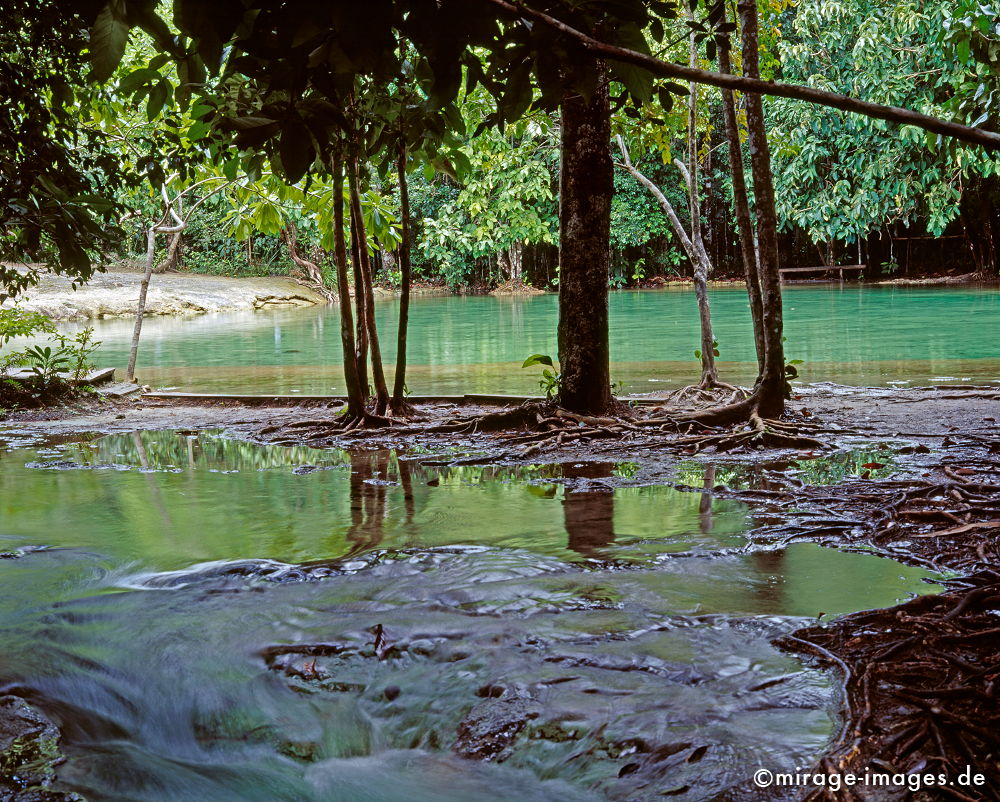 Emerald Pool
Khao Nor Chu Chi National Park
Schlüsselwörter: Fluss, Wasser, fliessen, Ruhe, Stille, Meditation, Kunst, Entspannung, entspannen, relax, rauschen, Meditation, Wildnis, unberÃ¼hrt, frisch, klar, Bewegung, bewegen, natÃ¼rlich, Harmonie, rauschen, Reinheit, Sauberkeit, Leben, einladend, Reise, Landschaft