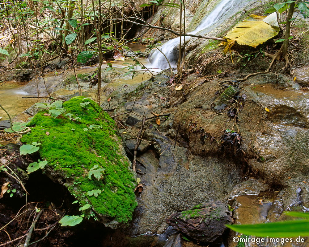 Creek
Mai Kaew Cave
Schlüsselwörter: Wasser, Dschungel, Wildnis, ursprünglich, Natur, fliessen, natürlich, Fluss, Entspannung, entspannen, Schönheit, abgelegen, Abenteuer, Entdecken, Aktivität, Umwelt, Vegetation, Wurzel, rauschen,