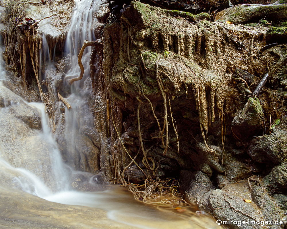 Creek
Mai Kaew Cave
Schlüsselwörter: Wasser, Dschungel, Wildnis, ursprÃ¼nglich, Natur, fliessen, natÃ¼rlich, Fluss, Entspannung, entspannen, SchÃ¶nheit, abgelegen, Abenteuer, Entdecken, AktivitÃ¤t, Umwelt, Vegetation, Wurzel, rauschen,