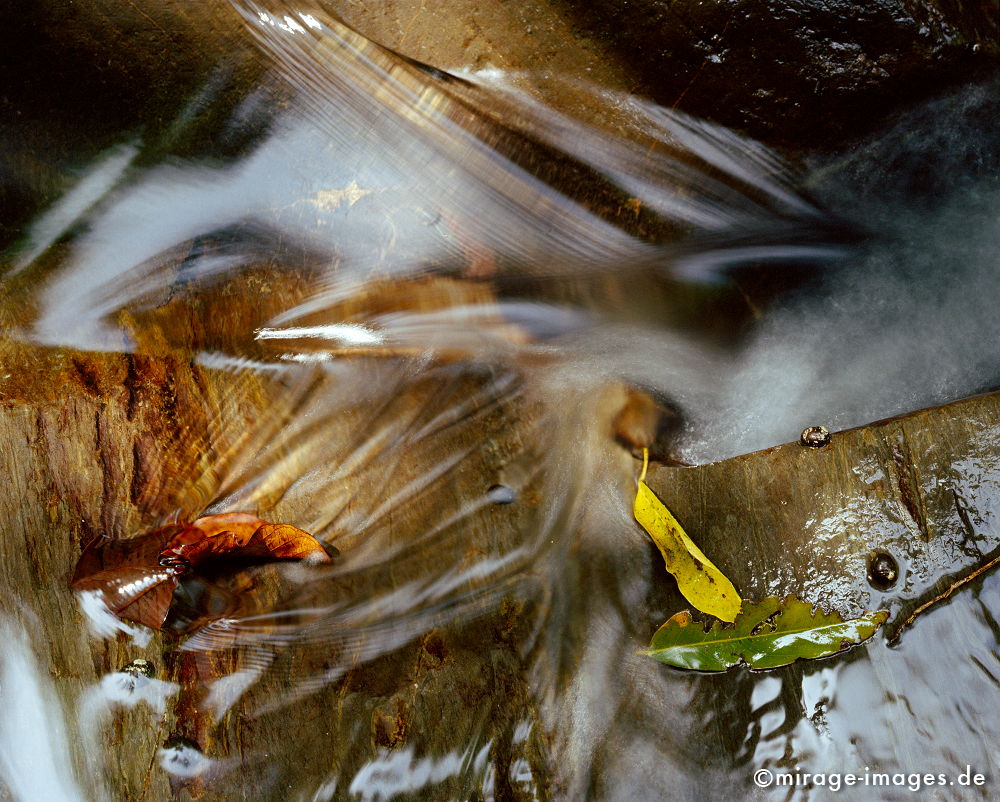 Flussbild
Schlüsselwörter: Natur, natürlich, Kunst, Meditation, weich, Wasser, Felsen, mystisch, Landschaft, Fantasie, Wildnis, strömen, fließen, Leben, Reinheit, sauber, Vegetation, Quelle, Wachstum, wachsen, verwunschen, Vergänglichkeit, Leben, gesund, Meditation, Bach,