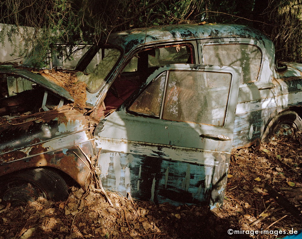 Junkyard
Kaufdorf Gürbetal
Schlüsselwörter: Oldtimer, Staub, Verfall, morbid, Zeit, Auto, Verkehr, antik, Transport, Rost, Schmutz, verfallen, pittoresk, Nostalgie, Zeitalter, historisch, Geschichte, Relikt, gebraucht, verbraucht, Automobil, alt, ausgedient, Fetisch, Wrack, Technik, Technologie,