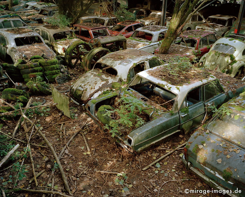 Junkyard
Kaufdorf Gürbetal
Schlüsselwörter: Oldtimer, Staub, Verfall, morbid, Zeit, Auto, Verkehr, antik, Transport, Rost, Schmutz, verfallen, pittoresk, Nostalgie, Zeitalter, historisch, Geschichte, Relikt, gebraucht, verbraucht, Automobil, alt, ausgedient, Fetisch, Wrack, Technik, Technologie,