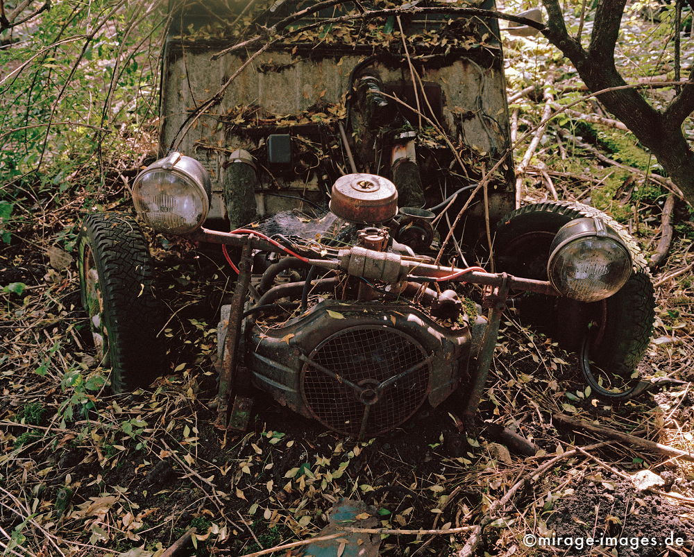 Junkyard
Kaufdorf Gürbetal
Schlüsselwörter: Oldtimer, Staub, Verfall, morbid, Zeit, Auto, Verkehr, antik, Transport, Rost, Schmutz, verfallen, pittoresk, Nostalgie, Zeitalter, historisch, Geschichte, Relikt, gebraucht, verbraucht, Automobil, alt, ausgedient, Fetisch, Wrack, Technik, Technologie,