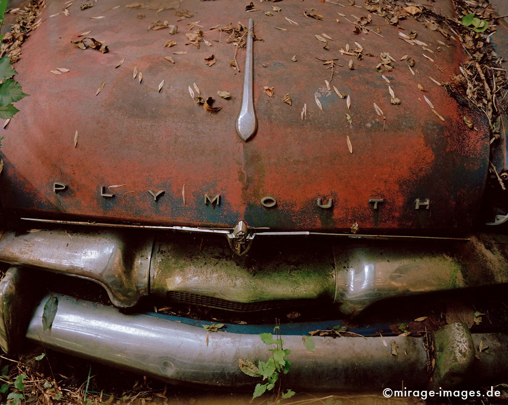 Plymouth
Kaufdorf GÃ¼rbetal
Schlüsselwörter: Oldtimer, Staub, Verfall, morbid, Zeit, Auto, Verkehr, antik, Transport, Rost, Schmutz, verfallen, pittoresk, Nostalgie, Zeitalter, historisch, Geschichte, Relikt, gebraucht, verbraucht, Automobil, alt, ausgedient, Fetisch, Wrack, Technik, Technologie,