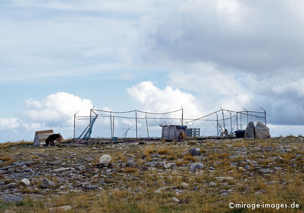 Rotten dog pound
Serra da Estrela
