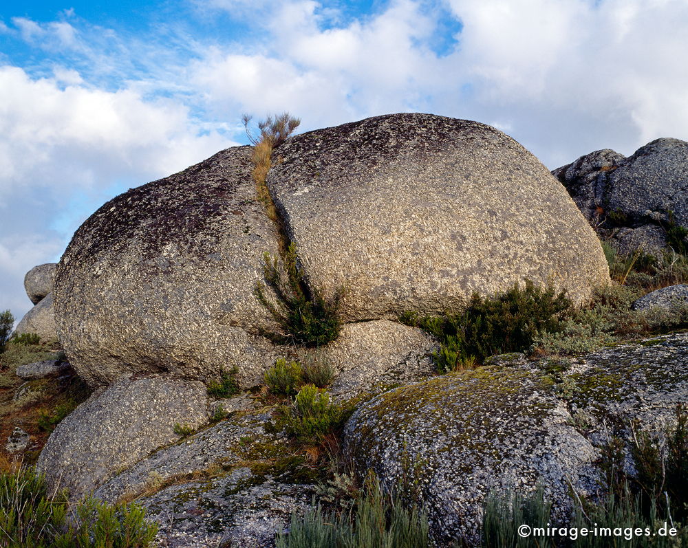 Hairy ass
Serra da Estrela
Schlüsselwörter: Stein, Fels, Bild Fantasie, Phantasie, Imagination, grau, liegend, Natur, Hinterteil, Arsch,