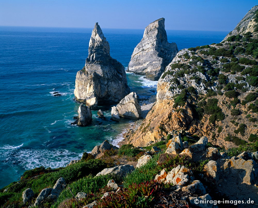 Ursa
Azoia
Schlüsselwörter: KÃ¼ste, Felsen, Meer, Strand, wild, tÃ¼rkis, rein, Wellen, Gischt, einsam, Einsamkeit, blau, Himmel, Urlaub, Erholung, Ferien, steil, SteilkÃ¼ste, WestkÃ¼ste, rau, rauh, Natur, natÃ¼rlich, Landschaft, Wasser, Atlantik, Europa,