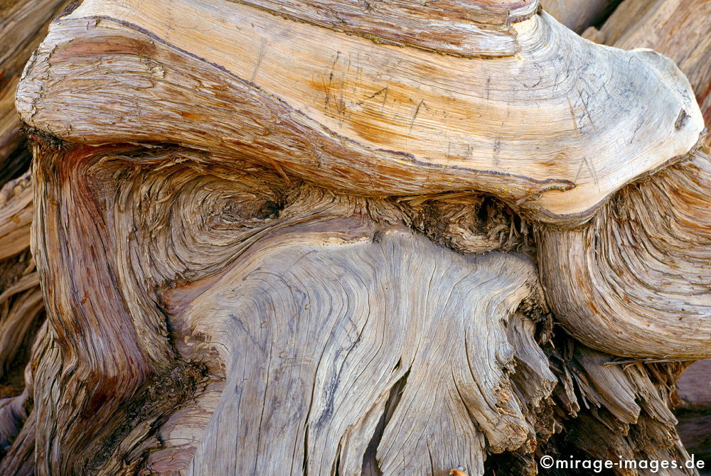 Sultan
Sayq Plateau
Schlüsselwörter: trees1, unberÃ¼hrt, ursprÃ¼nglich, knorrig, Holz, alt, Flora, ehrwÃ¼rdig, Wurzel, Skulptur, abgestorben, tod, mÃ¤chtig, Holz, Natur, natÃ¼rlich, Baum, BÃ¤ume, VergÃ¤nglichkeit, gross, uralt, Relikt, verwittert, 