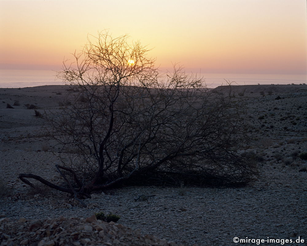 Salmah Plateau
Eastern Hajar
Schlüsselwörter: Stein, Berg, Felsen, Einsamkeit, einsam, schroff, ruhig, friedlich, Frieden, Ruhe, Stille, SchÃ¶nheit, spektakulÃ¤r, Plateau, rauh, unberÃ¼hrt, ursprÃ¼nglich, Ã¼berleben, DÃ¤mmerung, Sonnenuntergang, rot, weich, Leere, Karst, Gebirge, Ã–dland, abgeschiede