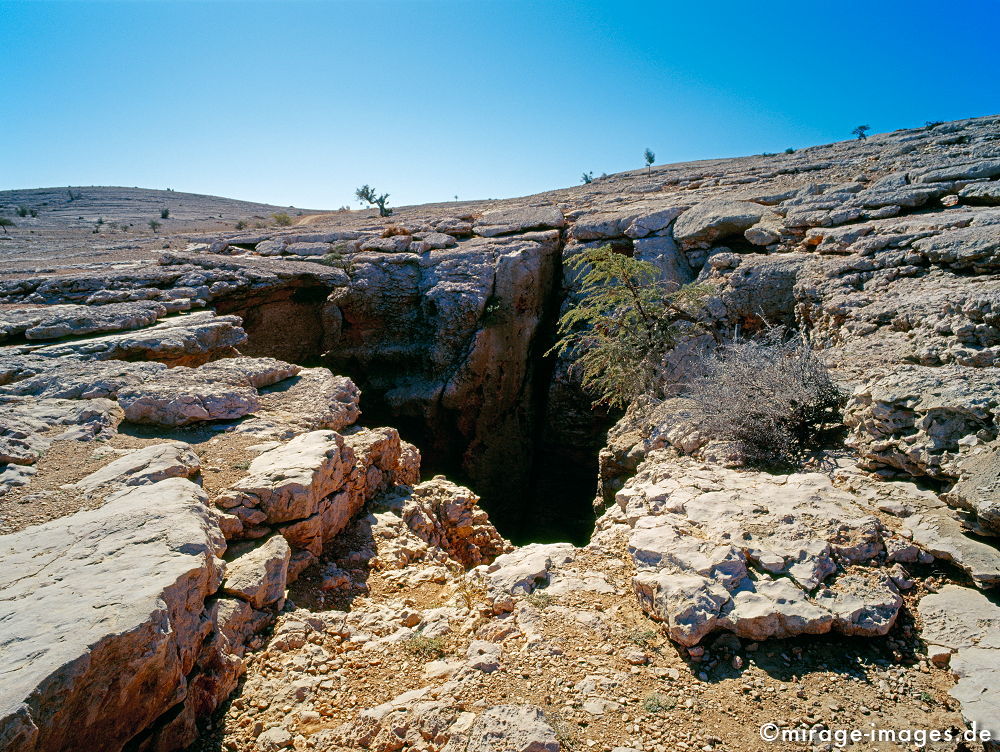 Majlis Al Jinn
Salmah Plateau
Schlüsselwörter: Stein, Höhle, Eingang, sauber, Berg, Felsen, Einsamkeit, einsam, schroff, ruhig, friedlich, Frieden, Ruhe, Stille, schön, Schönheit, spektakulär, schroff, rauh, unberührt, ursprünglich, überleben, Karst, Gebirge, Ödland, abgeschieden, menschenleer