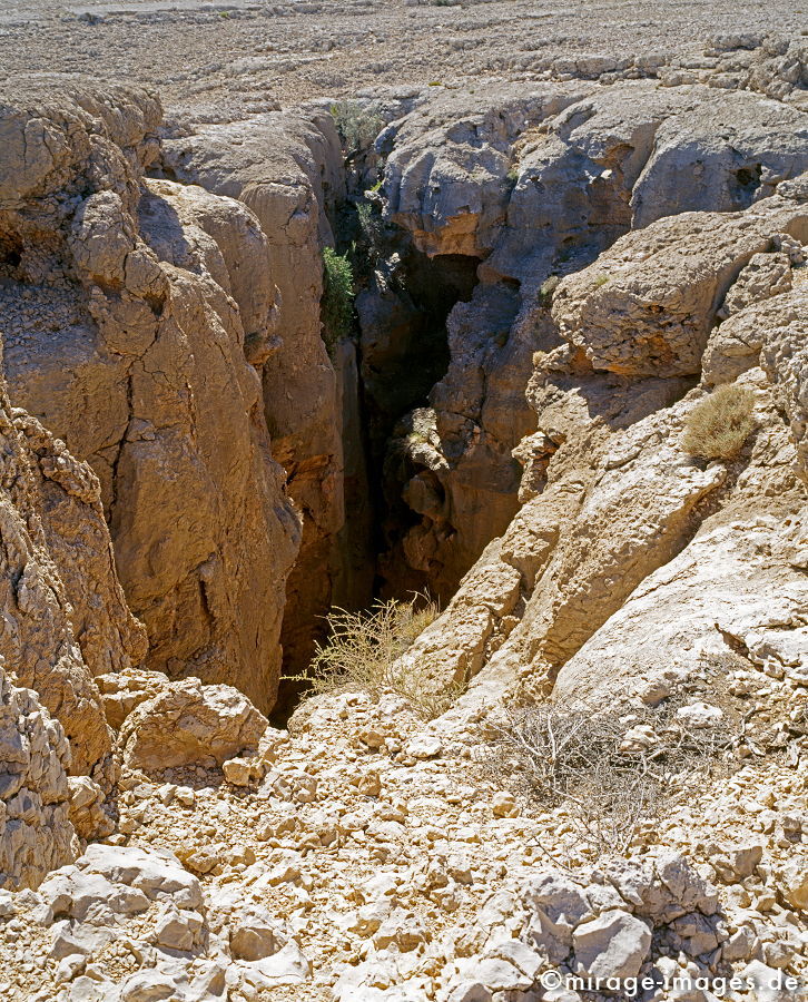 Majlis Al Jinn
Salmah Plateau
Schlüsselwörter: Stein, Höhle, Eingang, sauber, Berg, Felsen, Einsamkeit, einsam, schroff, ruhig, friedlich, Frieden, Ruhe, Stille, schön, Schönheit, spektakulär, schroff, rauh, unberührt, ursprünglich, überleben, Karst, Gebirge, Ödland, abgeschieden, menschenleer