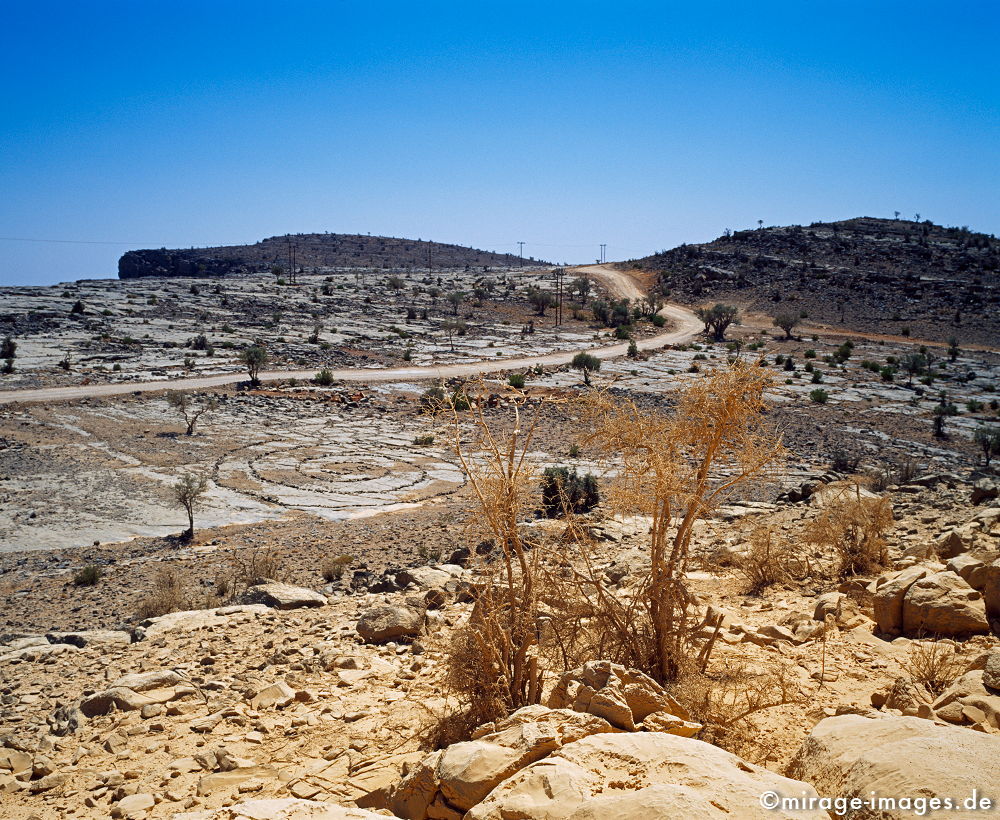Plateau
Jabal Shams
Schlüsselwörter: Stein, Kreis, gelb, Magie, mysteriös, geheimnisvoll, Felsen, Einsamkeit, einsam, schroff, schön, Schönheit, spektakulär, schroff, rauh, weich, Erosion, Umwelt, Leere, Karst, Gebirge, menschenleer, Geologie, karg, farbig, bunt, Himmel, blau, 