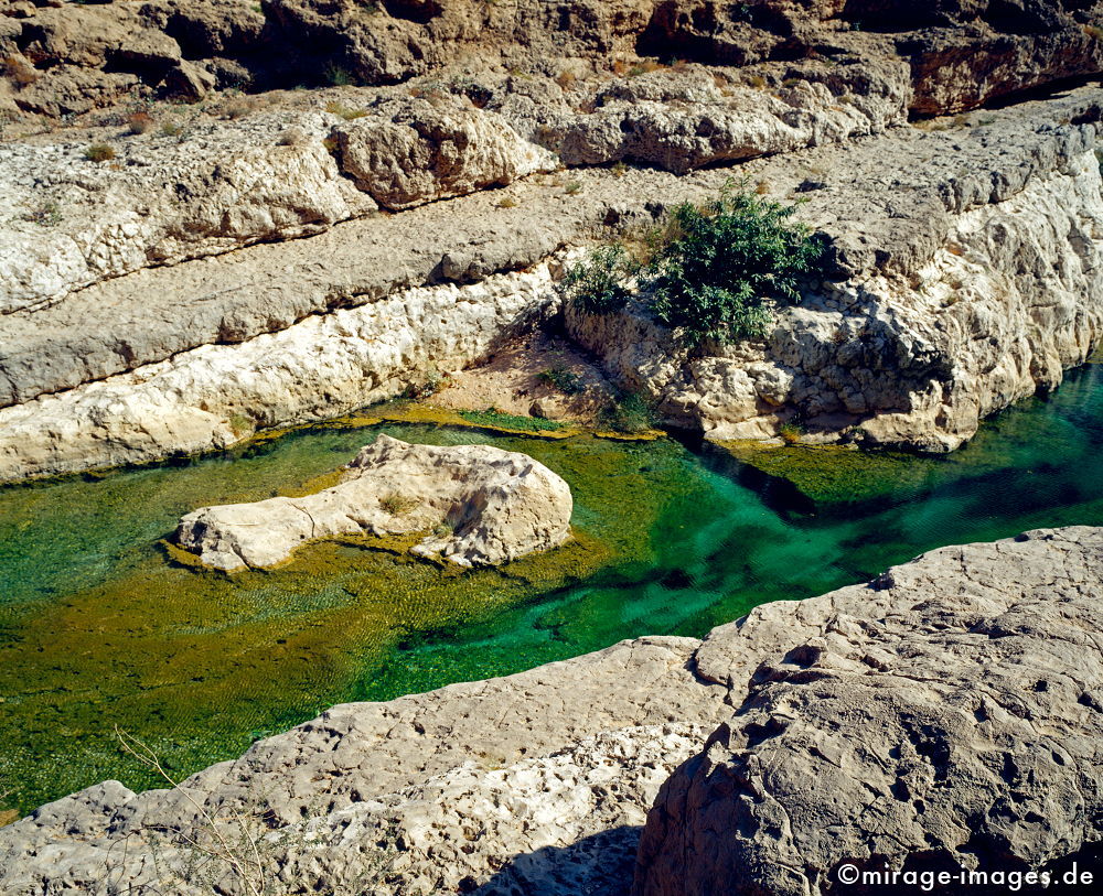 Crocodile
Wadi Ash Shab
Schlüsselwörter: Oase, Wadi, Flussbett, Wasser, Erfrischung, Stein, Schlucht, Fluss, klar, sauber, Berg, Felsen, Einsamkeit, einsam, schroff, ruhig, Gegensatz, sonnig, friedlich, Frieden, Ruhe, Stille, schÃ¶n, SchÃ¶nheit, spektakulÃ¤r, rauh, unberÃ¼hrt, glasklar, ursprÃ¼n