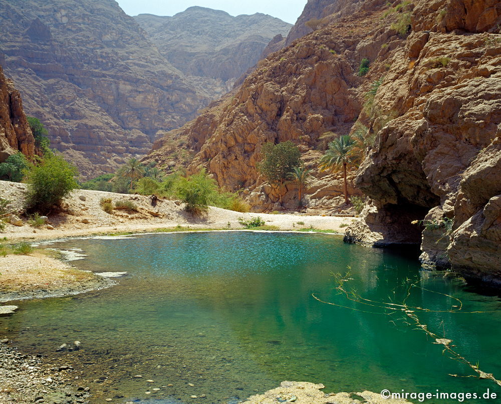 Oasis
Wadi Ash Shab
Schlüsselwörter: Oase, Wadi, Flussbett, Wasser, Erfrischung, Palmen, Stein, Schlucht, Fluss, klar, sauber, Berg, Felsen, Einsamkeit, einsam, schroff, ruhig, Gegensatz, sonnig, friedlich, Frieden, Ruhe, Stille, schÃ¶n, SchÃ¶nheit, spektakulÃ¤r, rauh, unberÃ¼hrt, glasklar, 