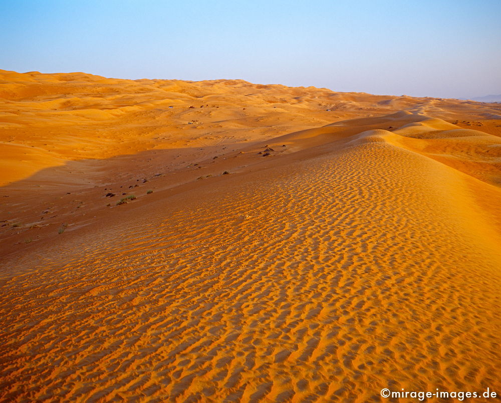 Desert
Wahiba Sharquiya Sands 
Schlüsselwörter: karg, Sonne, heiss, Sand, rot, Sehsucht, Leere, Muster, Textur, Landschaft, Wellen, geschwungen, DÃ¼nen, HÃ¼gel, einsam, Einsamkeit, menschenleer, unwirtlich, unberÃ¼hrt, kahl, Licht, gleiÃŸend, ausgedÃ¶rrt, regenarm, magisch, SpiritualitÃ¤t, spirituell, 