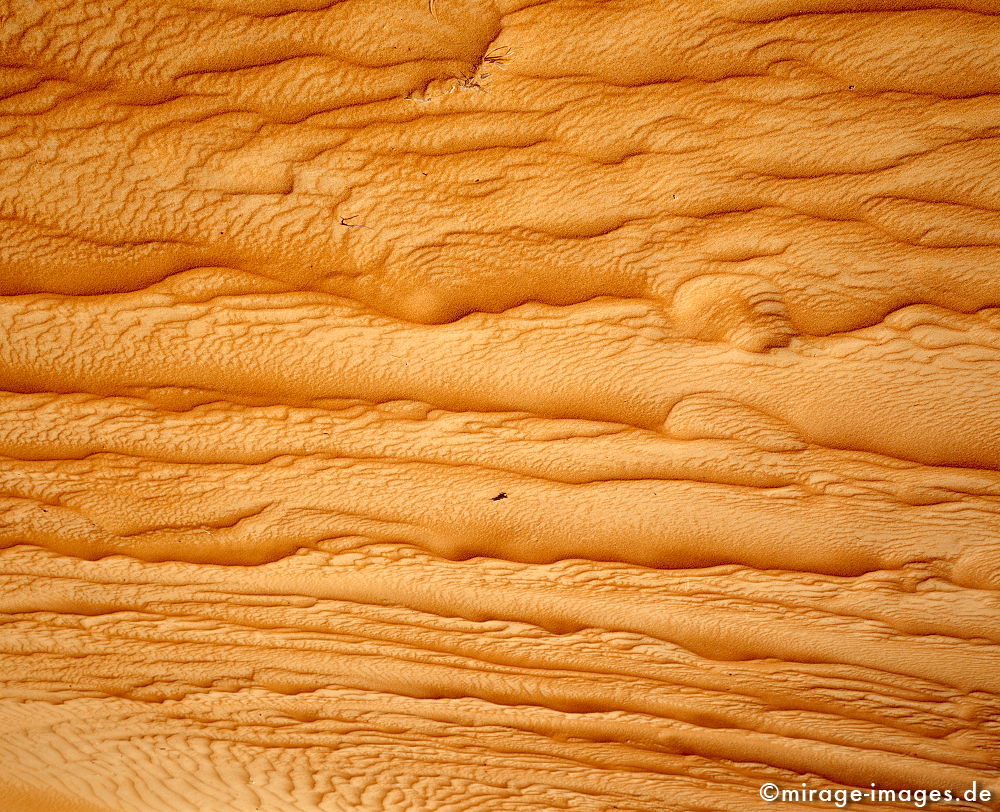 Skin
Wahiba Sharquiya Sands 
Schlüsselwörter: karg, Sonne, heiss, Sand, rot, Bild, Muster, Textur, Haut, Wellen, geschwungen, aride Zone, Trockenheit, trocken, Hitze, Natur, natÃ¼rlich, Wildnis, Mittlerer Osten, WÃ¼ste, wandern, Traum, Islamische Welt, exotisch, 