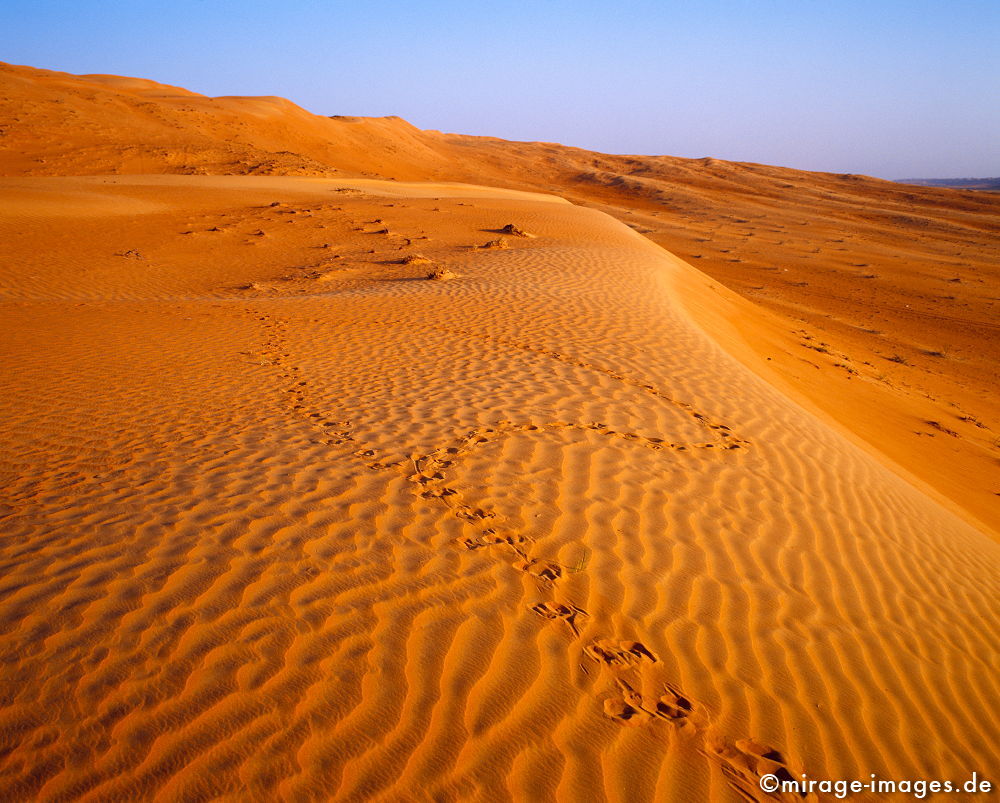 Desert
Wahiba Sharquiya Sands 
Schlüsselwörter: karg, Sonne, heiss, Sand, rot, Sehsucht, Leere, Muster, Textur, Landschaft, Wellen, geschwungen, Dünen, Hügel, einsam, Einsamkeit, menschenleer, unwirtlich, unberührt, kahl, Licht, gleißend, ausgedörrt, regenarm, magisch, Spiritualität, spirituell, 