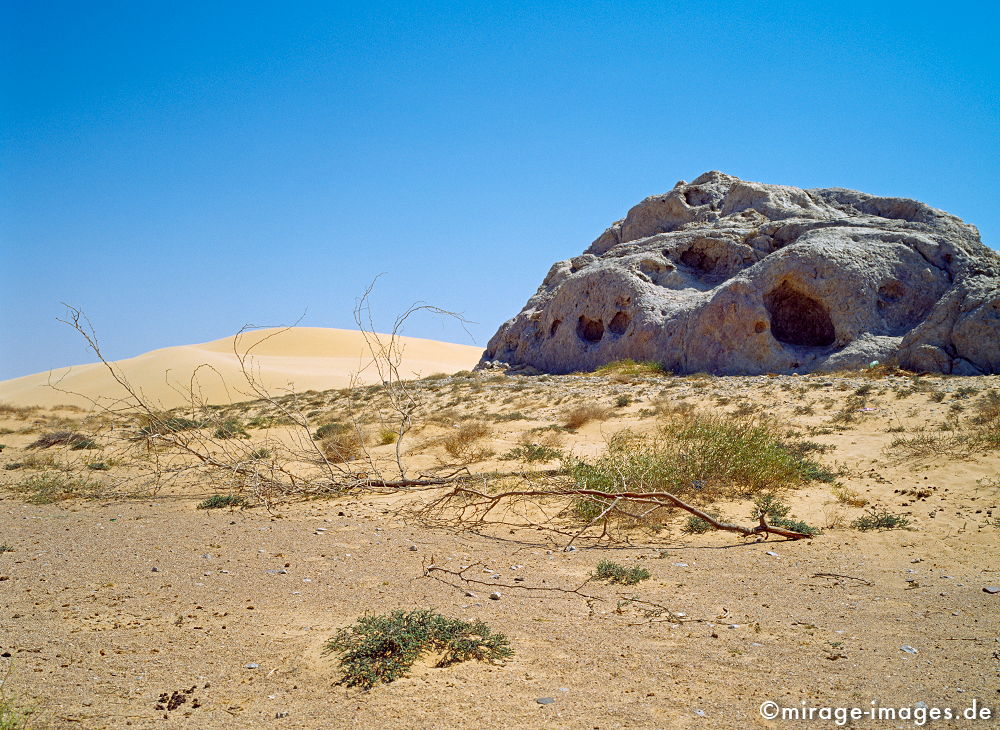 Sleepy Rock
Wahiba Sharquiya Sands 
Schlüsselwörter: Stein, Felsen, Einsamkeit, einsam, schroff, schÃ¶n, SchÃ¶nheit, spektakulÃ¤r, schroff, rauh, unberÃ¼hrt, ursprÃ¼nglich, weich, Erosion, Umwelt, Leere, Karst, Gebirge, Ã–dland, abgeschieden, menschenleer, Geologie, karg, gelb, Sand, Himmel, unwirtlich, 