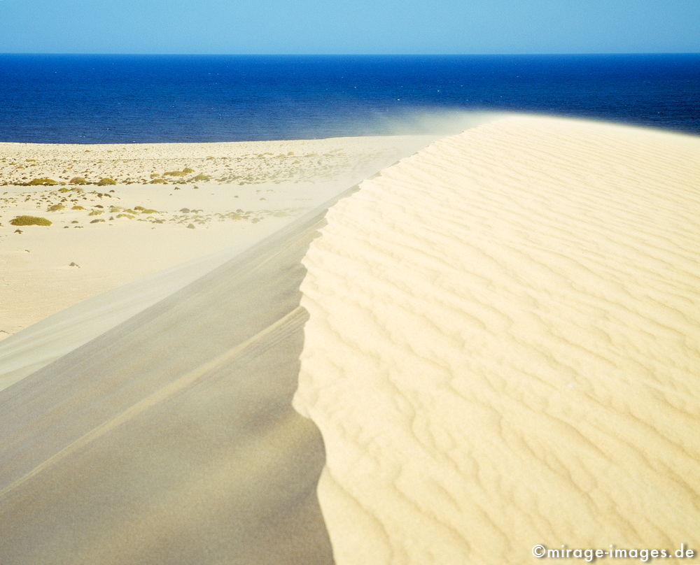 Dune
East Coast
Schlüsselwörter: klar, sauber, Berg, Einsamkeit, einsam, schroff, ruhig, Gegensatz, sonnig, friedlich, Frieden, Ruhe, Stille, schön, Schönheit, spektakulär, unberührt, ursprünglich, Attraktion, einladend, sonnig, Sonne, hell, überleben, Sand, Düne, Wind, Meer, blau