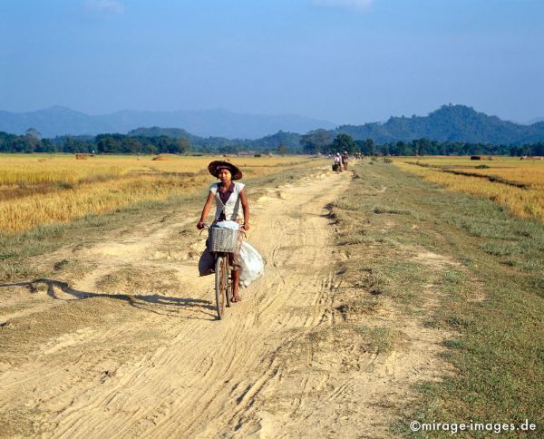 Cycling in the countryside
Mrauk - U
Schlüsselwörter: Fahrrad, Strasse, Staub, trocken, Abend, WÃ¤rme, warm, MÃ¤dchen, Landschaft, Weg, Feldweg, Weite, Ruhe, gemÃ¤chlich, gelassen, Felder, Landwirtschaft, Birma, Burma, Myanmar, SÃ¼dost Asien, 