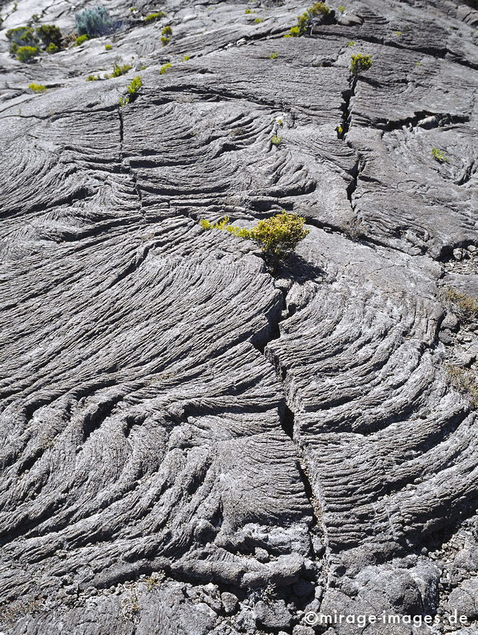 Lavaskin
Formica LÃ©o - Piton de la Fournaise
Schlüsselwörter: Lava, Lavafeld, Sand, Geologie, WÃ¼ste, einsam, Einsamkeit, Weite, Plateau, Hochebene, vulkanisch, Piton de la Fournaise, Himmel, blau, Stein, Krater, Vulkankrater, EinÃ¶de, trocken, karg, bizarr, unwirklich, Bruch, Ruhe, menschenleer, verlassen, Geologie