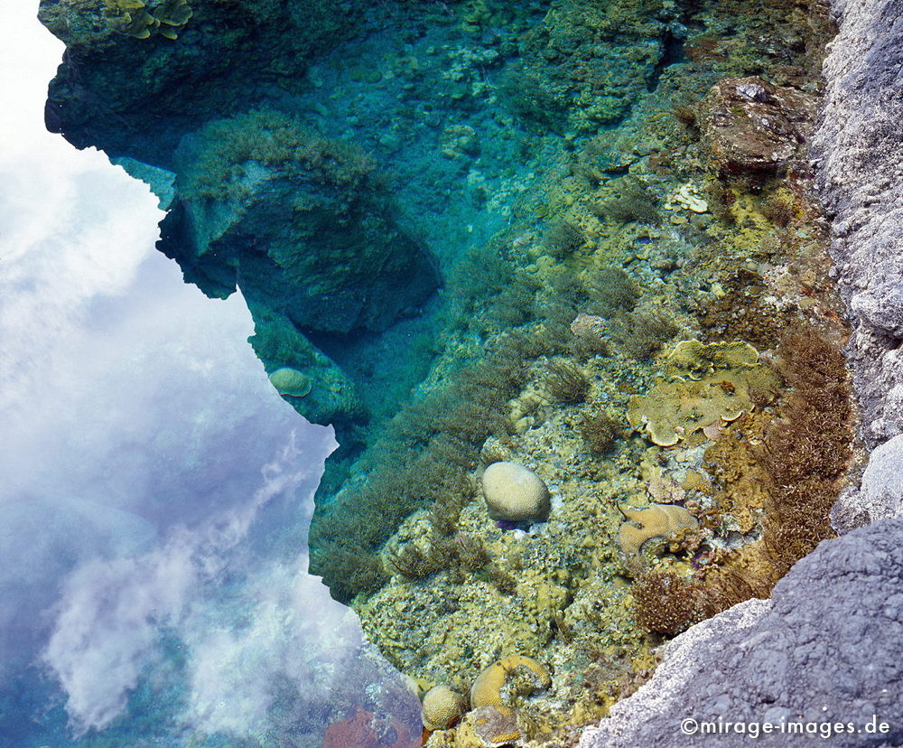 Corals
Vincendo
Schlüsselwörter: Wasser, Unterwasser, Teil, farbig, bunt, Korallen, Steine, Schwämme, Pflanzen, farbenprächtig, Farbe, Teich, Tümpel, Unterwasserwelt, Meer, Salzwasser, warm, üppig, Harmonie, Meditation, Kontemplation, betrachten, Betrachtung, 
